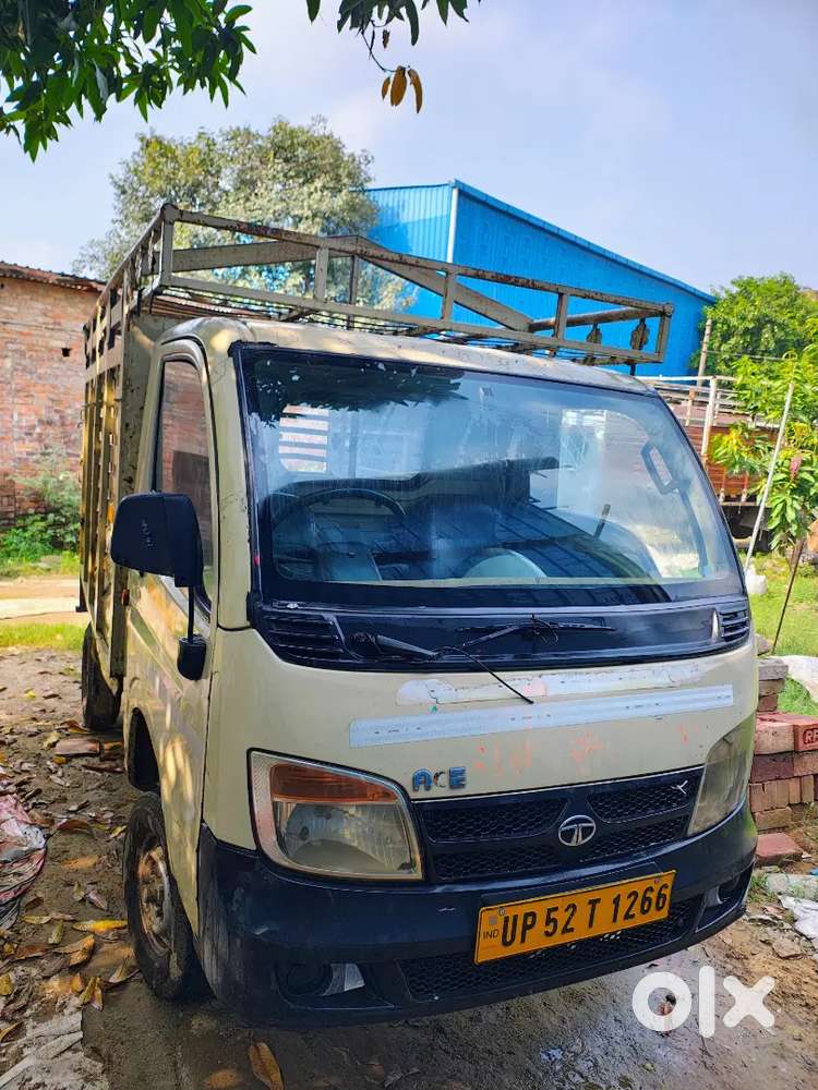 Tata majic