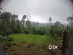 100 CENT LAND FOR sale@vagamon