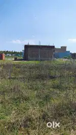 Plot for sale rajawala near by IPS school