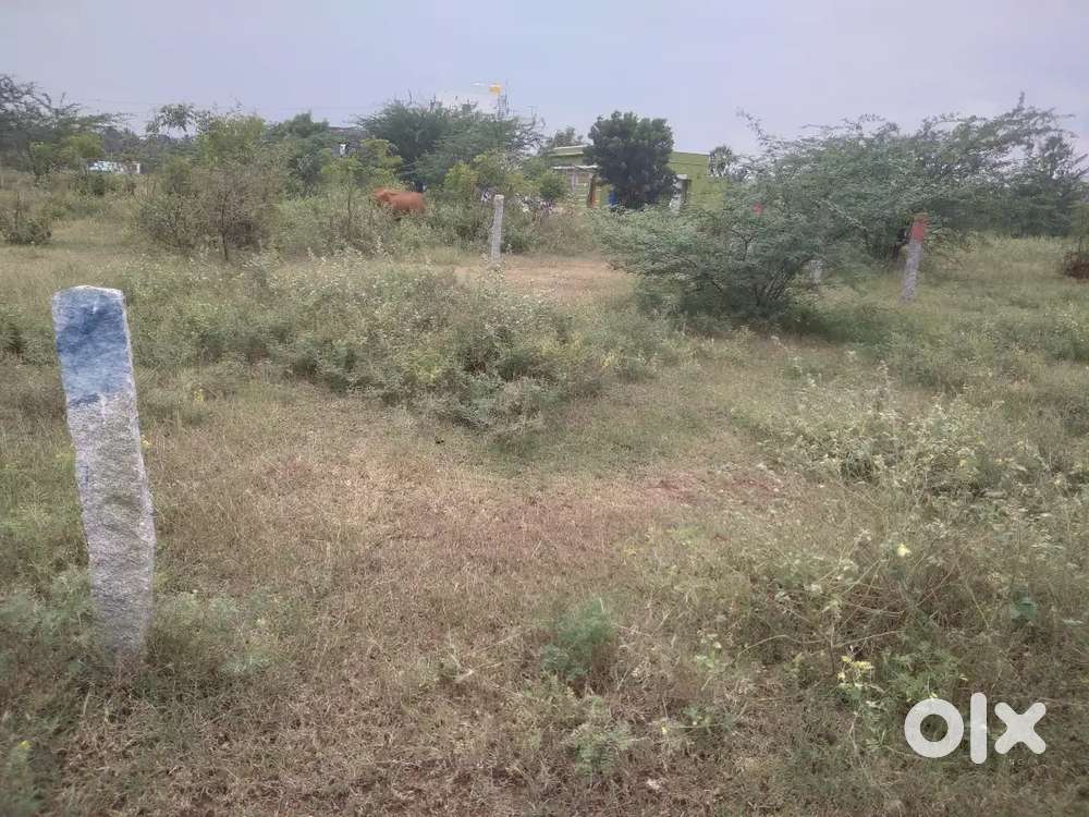 Psk nagar sri vithyamandhiri school opp side, jalagandapuram