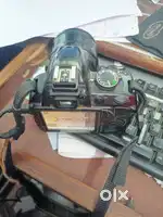 Nikon 3100