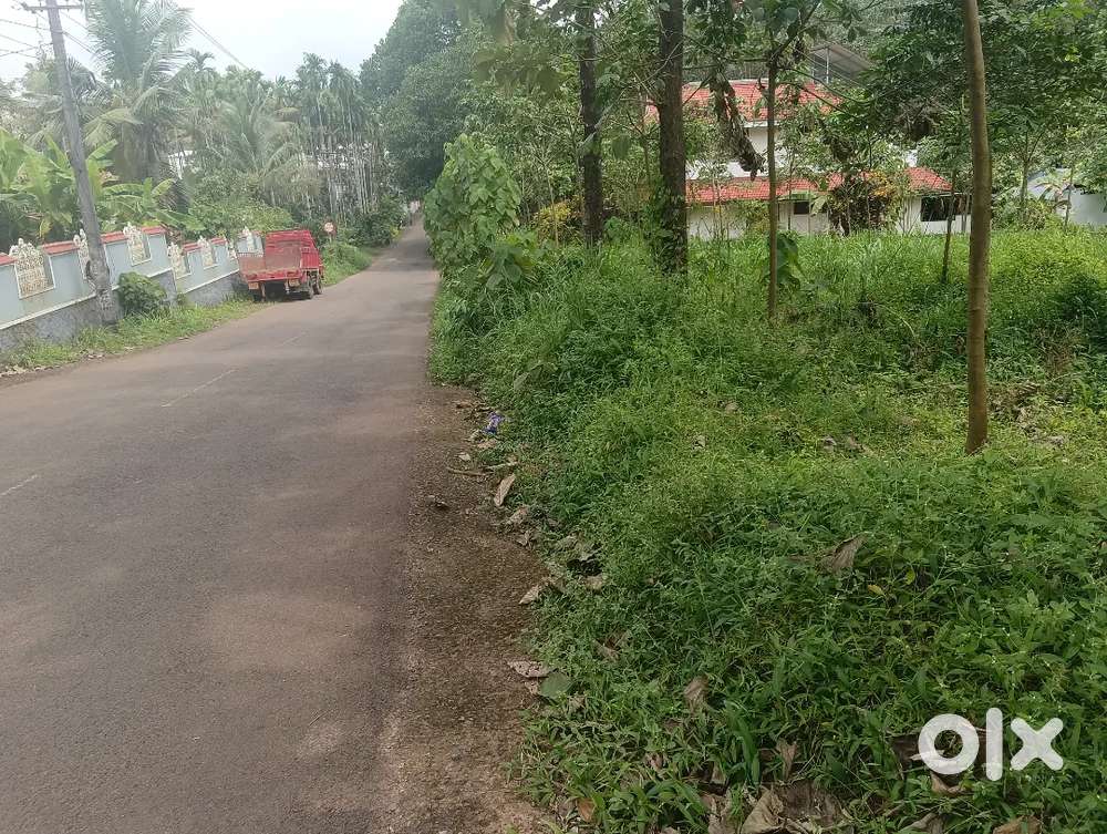 Mulanthuruthy, thuppampady plot for sale