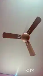 Selling Fan