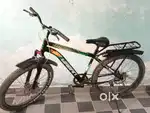 जीवन साइकिल