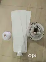 Room fan , and adjust fan