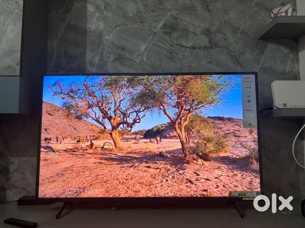 Sony bravia S20 (55inch)
