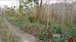 5 Pura & 1 bigha Land for sale near Hebron camp negotiable