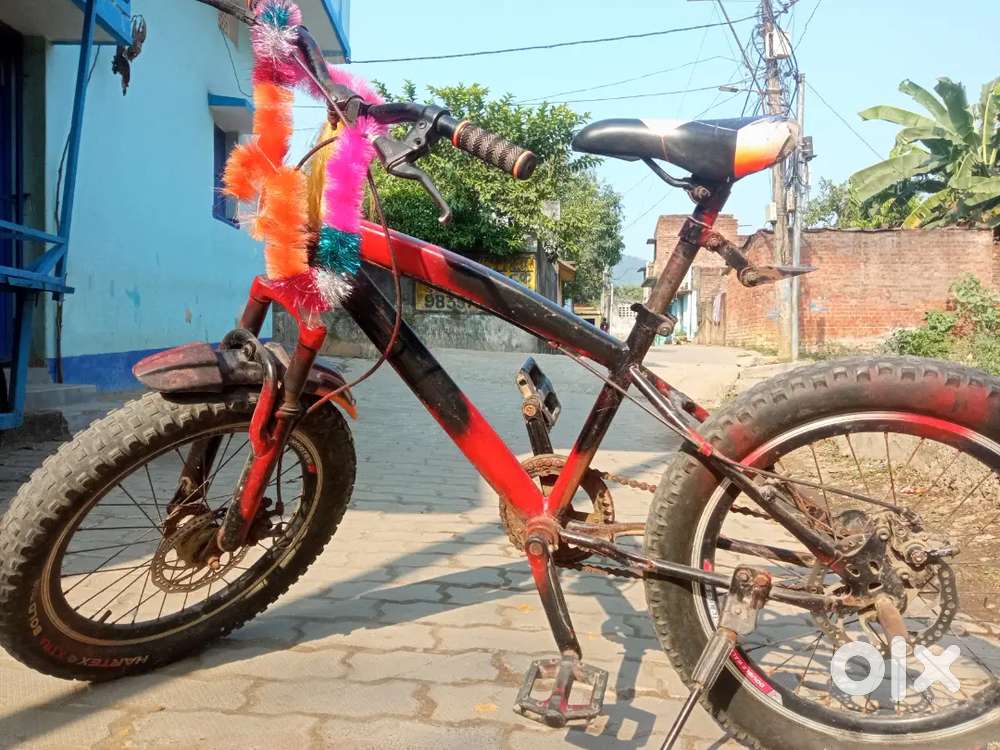 Fat bicycle in lowest price chat to continue.