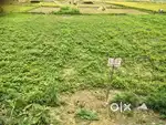 6.66 katha jomi Bikroy purotai Paka Rastar Front