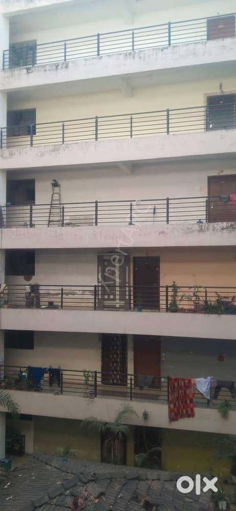 1 BHK Apartment in Rau