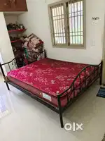 Black Metal Steel Cot Double Bed, With gold coating