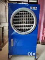 Cooler 6 months old only