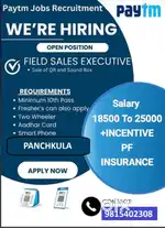 Paytm - Sales Job QR & Soundbox