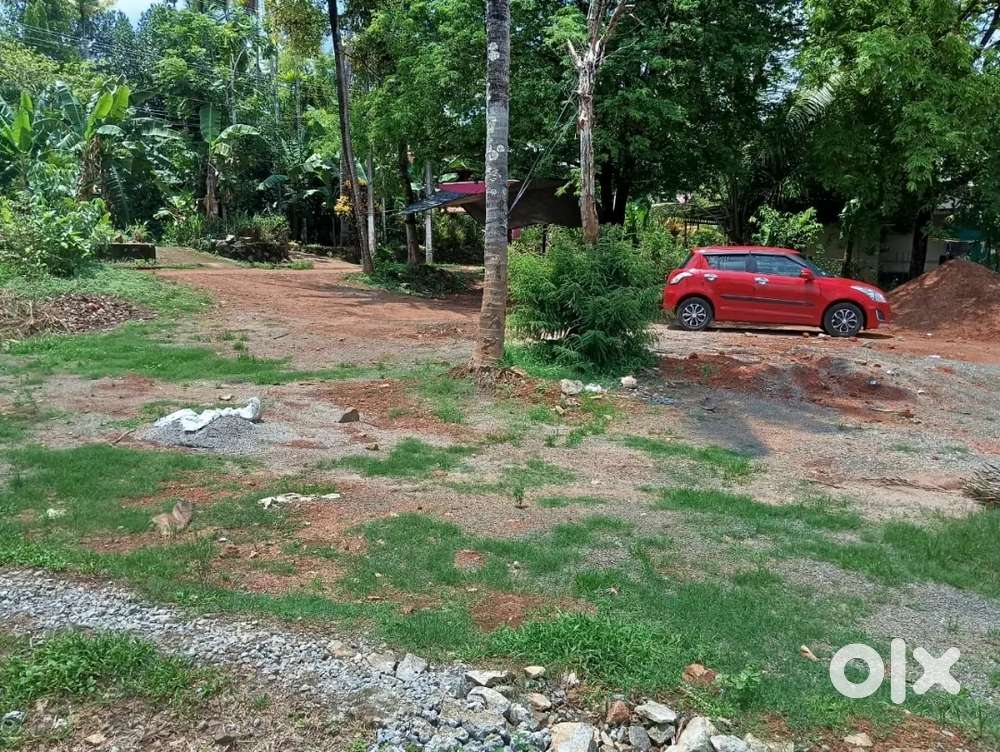 സെൻററിന് 1,55,000, നെല്ലായി ആനന്തപുരം