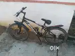 2022 model