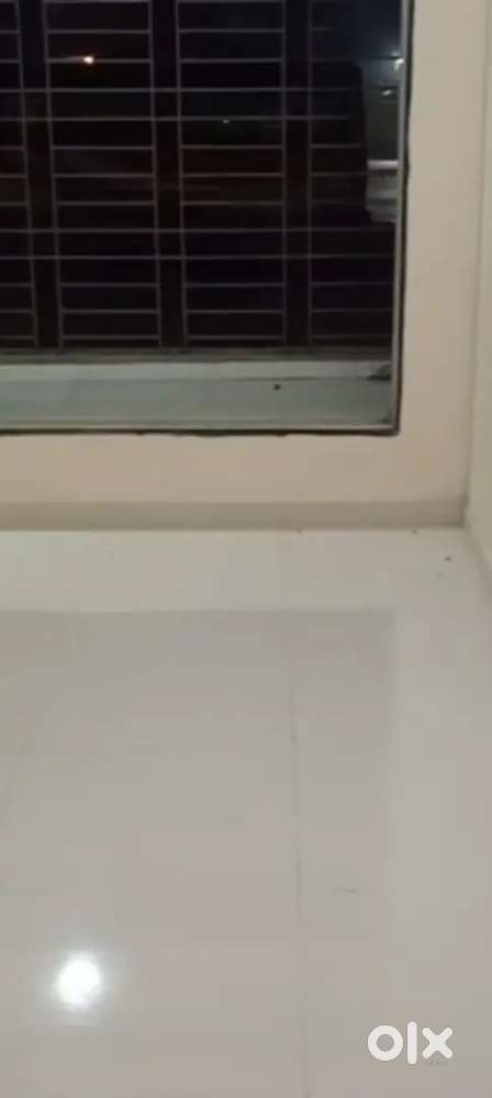 2bhk , Luxurious flat..