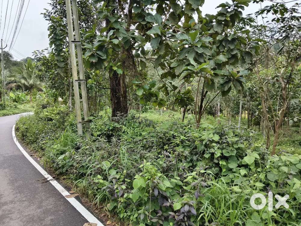 40 Cent plot for sale