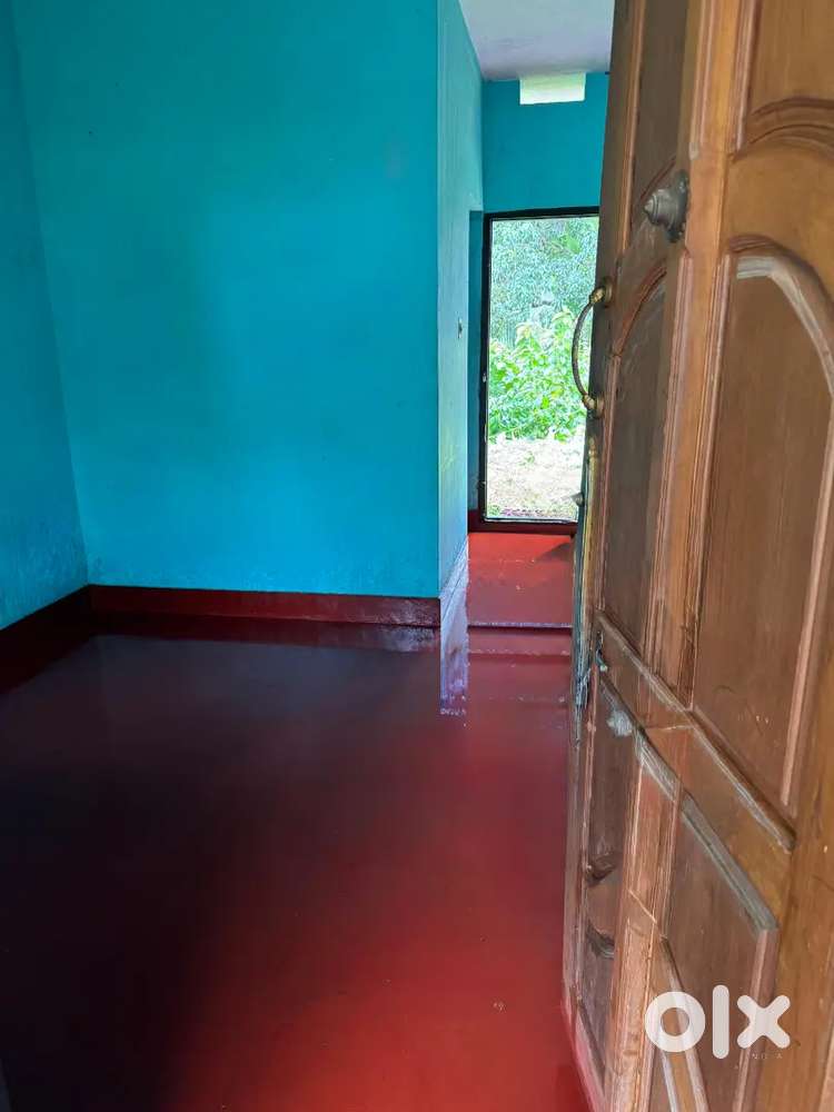 Room for Bachelors only@3500 ,Vidyanagar,Collectorate road, Kasaragod