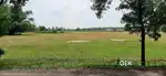20 Bigha Agriculture land sell In Ausgram Bardhaman