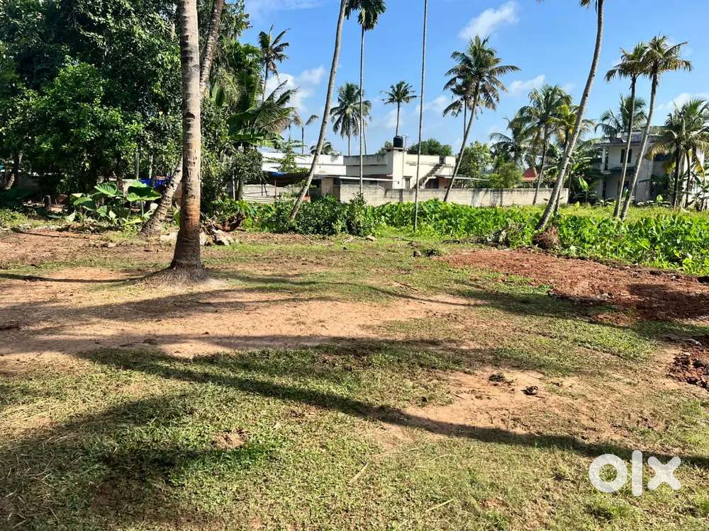 5 സെന്റ് പ്ലോട്ട് വിൽപ്പനയ്ക്ക്. സ്ഥലം: 'തട്ടാർക്കോണം,കരിക്കോട്,കൊല്ലം