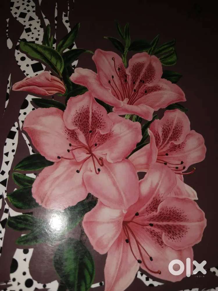 I can teach Online classes from 1st to 10th only maths