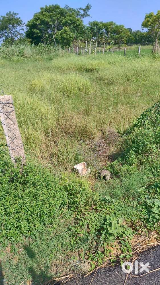 Plot for sale Theral Nagar kumbakonam