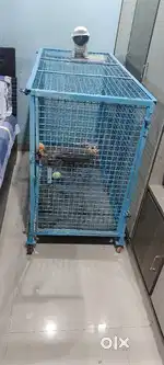 Dog large cage