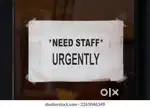 Store & Delivery Assistant For A Furniture Store