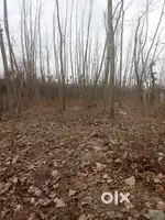 want to sell my land 2 kanal 2 malra at baliharan 1.5 km away from