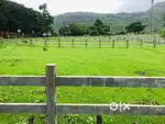 N A plot and bungalow for sale