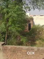 Approved plot 80 mtr from the raj palace hotel