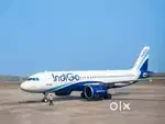 Jobs in airport ground staff and cabin crew in indigo airlines
