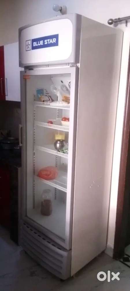 Blue Star refrigerator