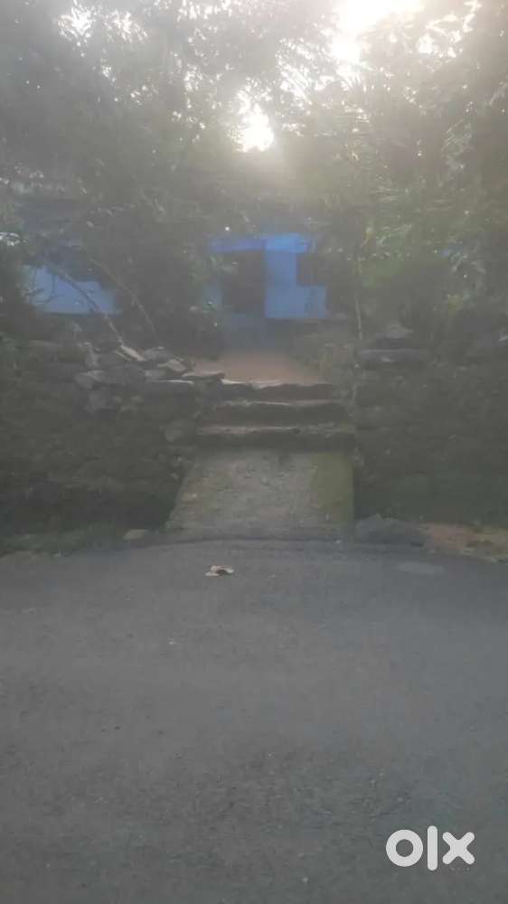 36 cent plot for sale