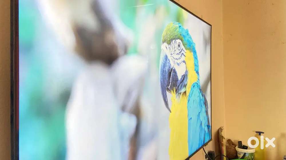 Samsung  LED 138cm 4k, Samsung Washing machine 7kg,Samsung fridge 314L