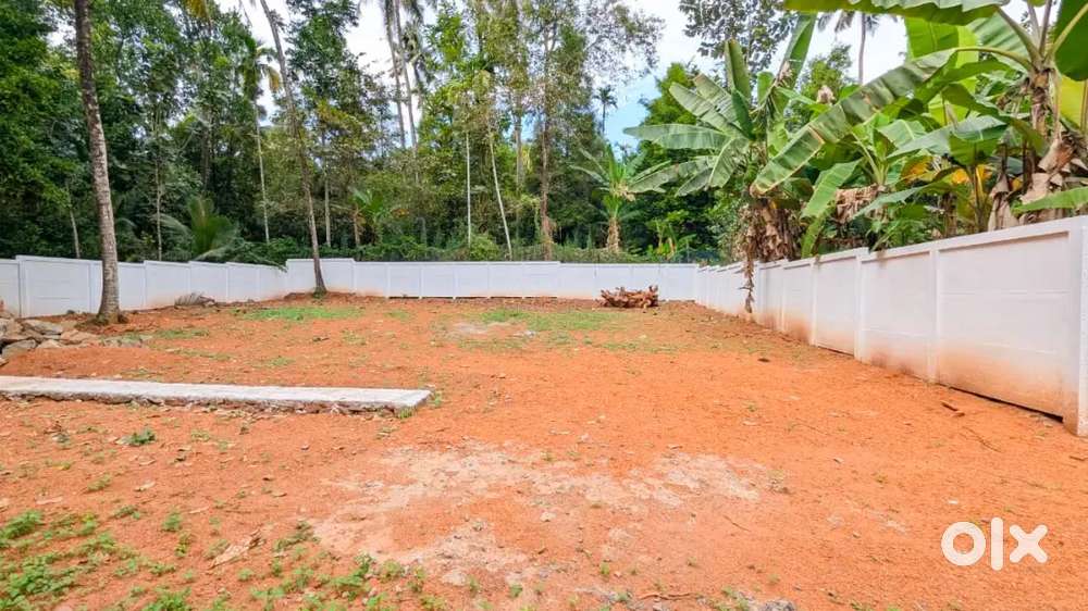 Karukutty Apollo hospital near bus route 4-8 cent house plot-Free Reg