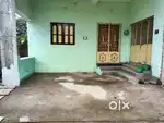 House (3 BHK) for Rent (only for family).