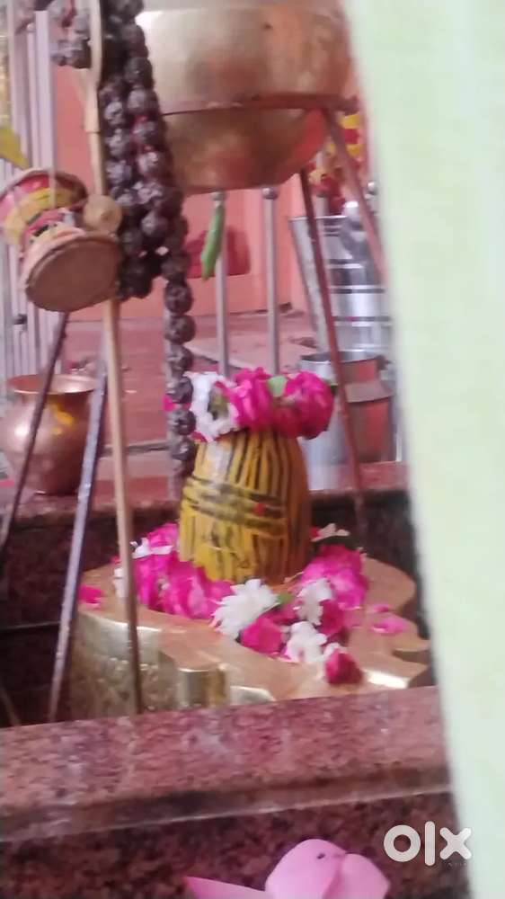 Bhojibeer se sindhora road pe mirapur bashi me plot 50 lakh  biswa