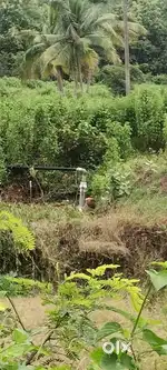 Farming land sale