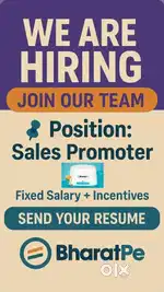 Bharatpe sales executive