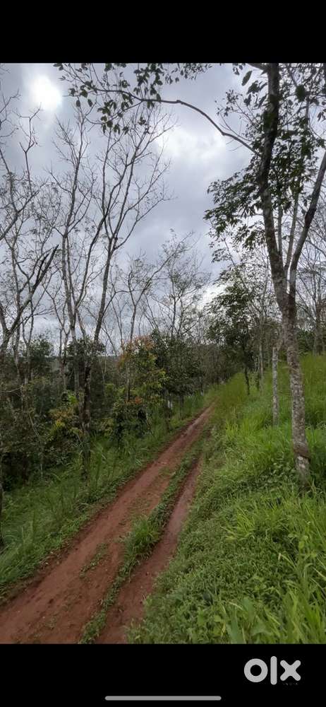 Water electricity road all available