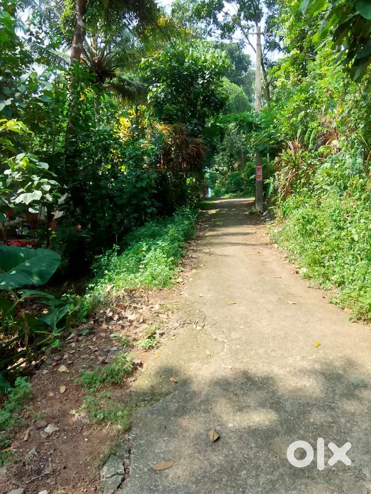 മാവേലിക്കര