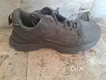 1 Hrx Sneakers +1 campus sports shoes