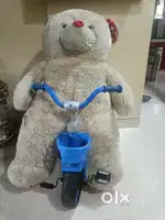 Kids cycle and big teddy