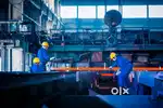 Wanted quality