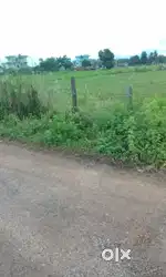 Land for sale on raxaul to adapur nahari road