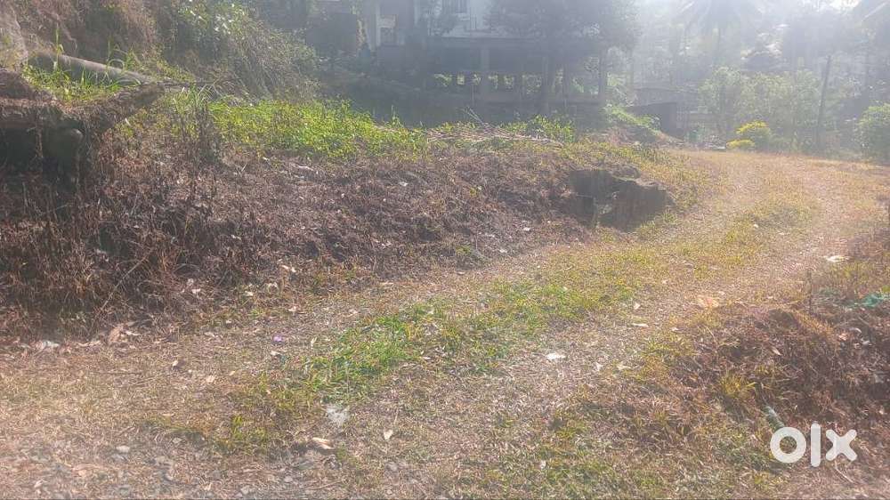 This 20 Cent Residential Plot in Kalpetta Wayanad