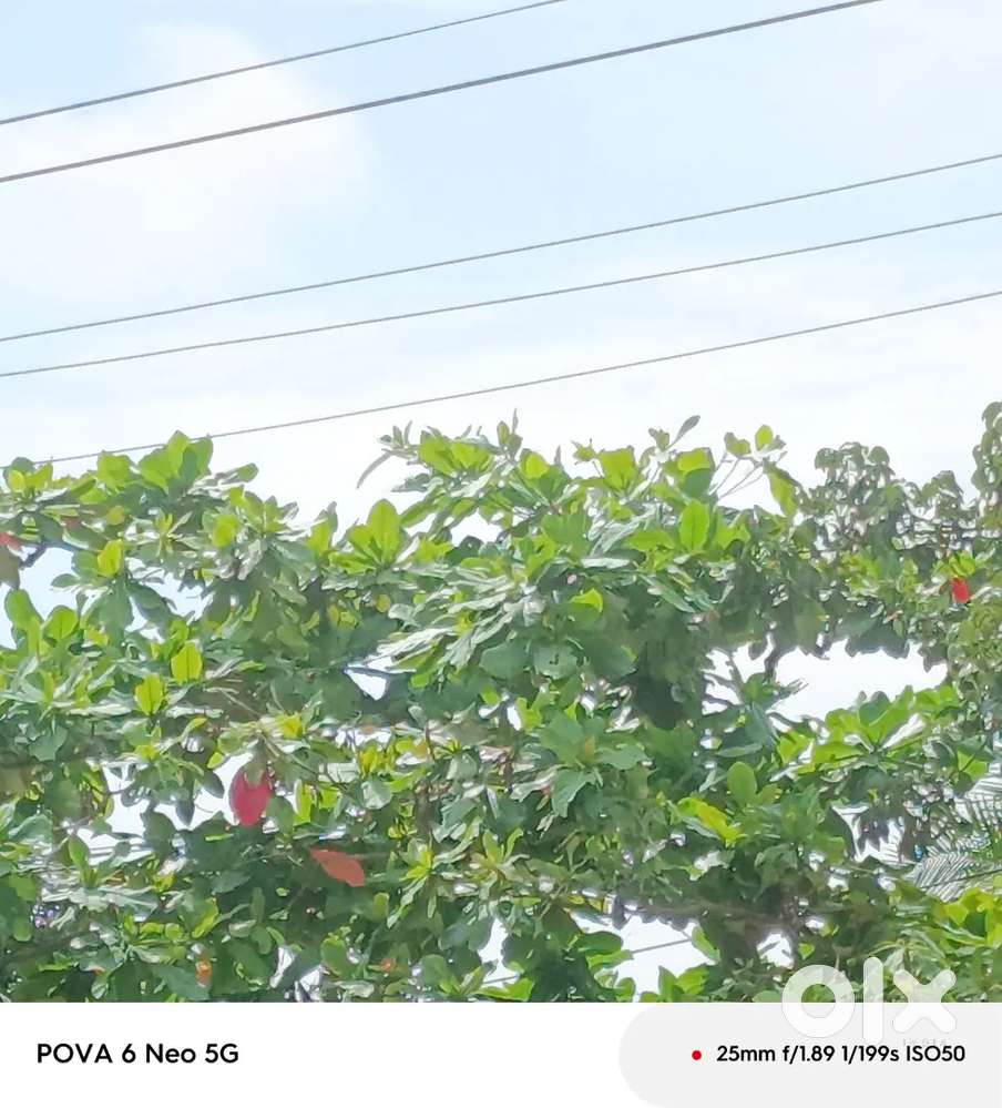 14cents land for sale at merryhill gurunagar
