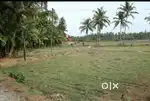 Land for immediate sale near Haleangadi junction