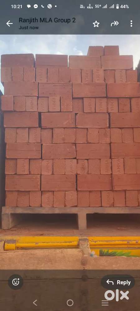 Bricks  1 load 5000 thousand bricks